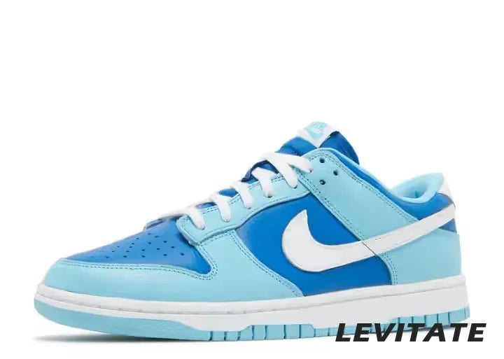 Nike Dunk Low 'Argon' Mens